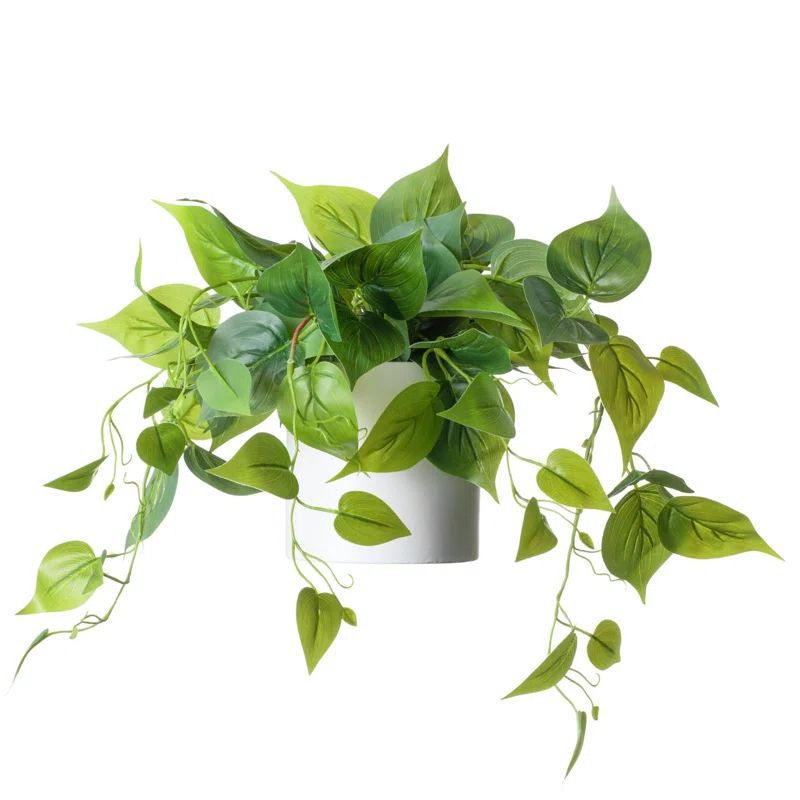Faux Foliage Plant in Ceramic Pot | Wayfair North America