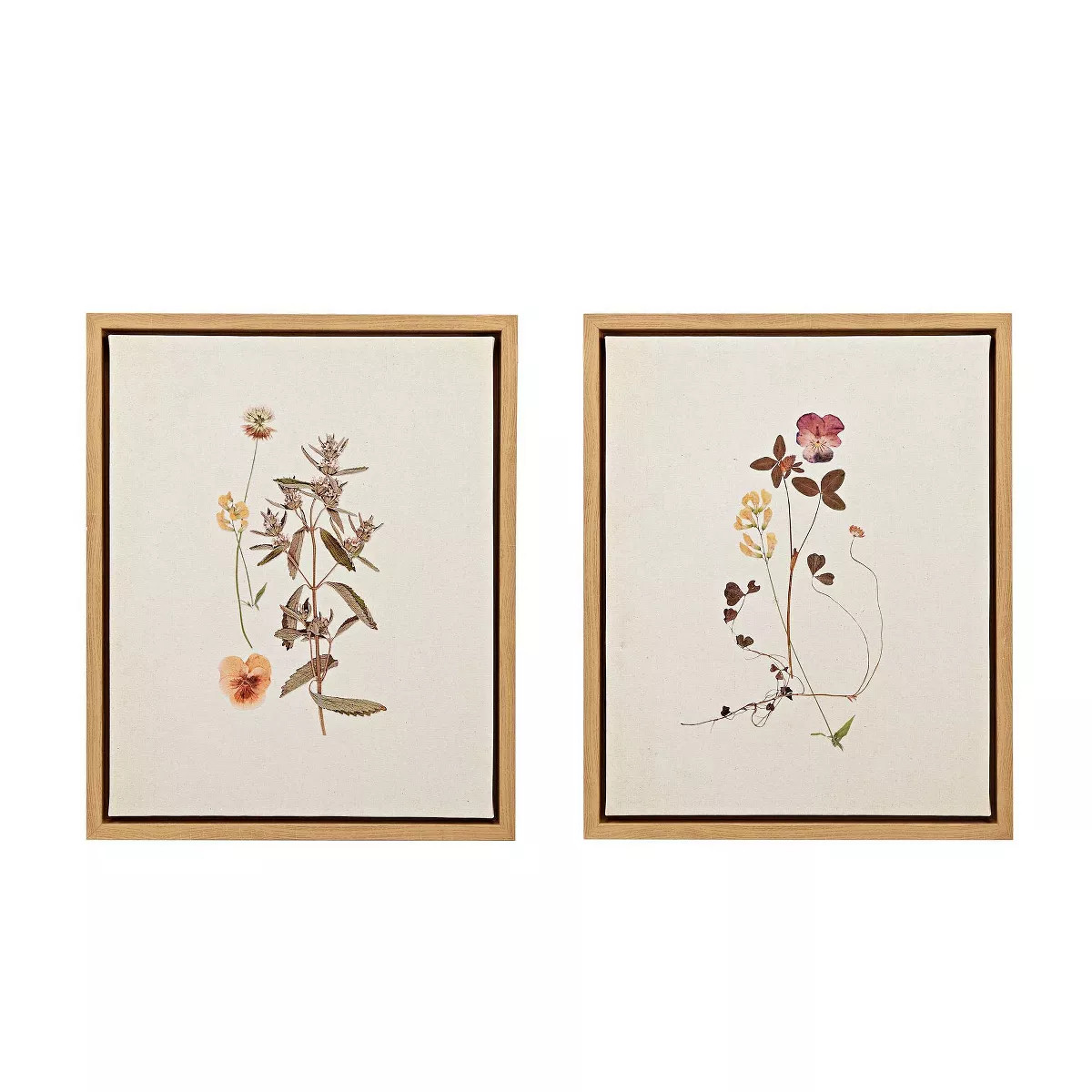 Madison Park 2pc French Herbarium Framed Linen Canvas : Cottage-Inspired, Botanical Digital Art, ... | Target