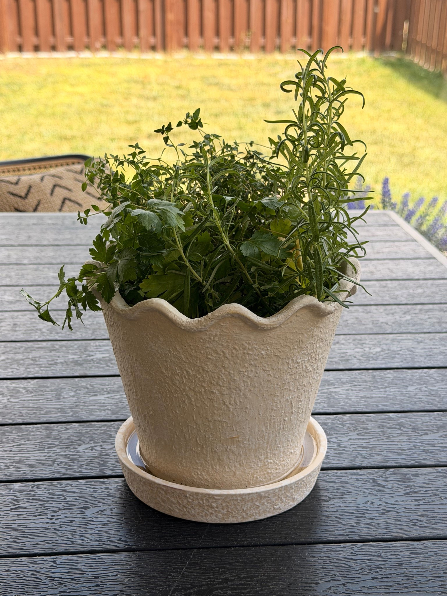 My cute aesthetic planter

#LTKMothersDay #LTKHome