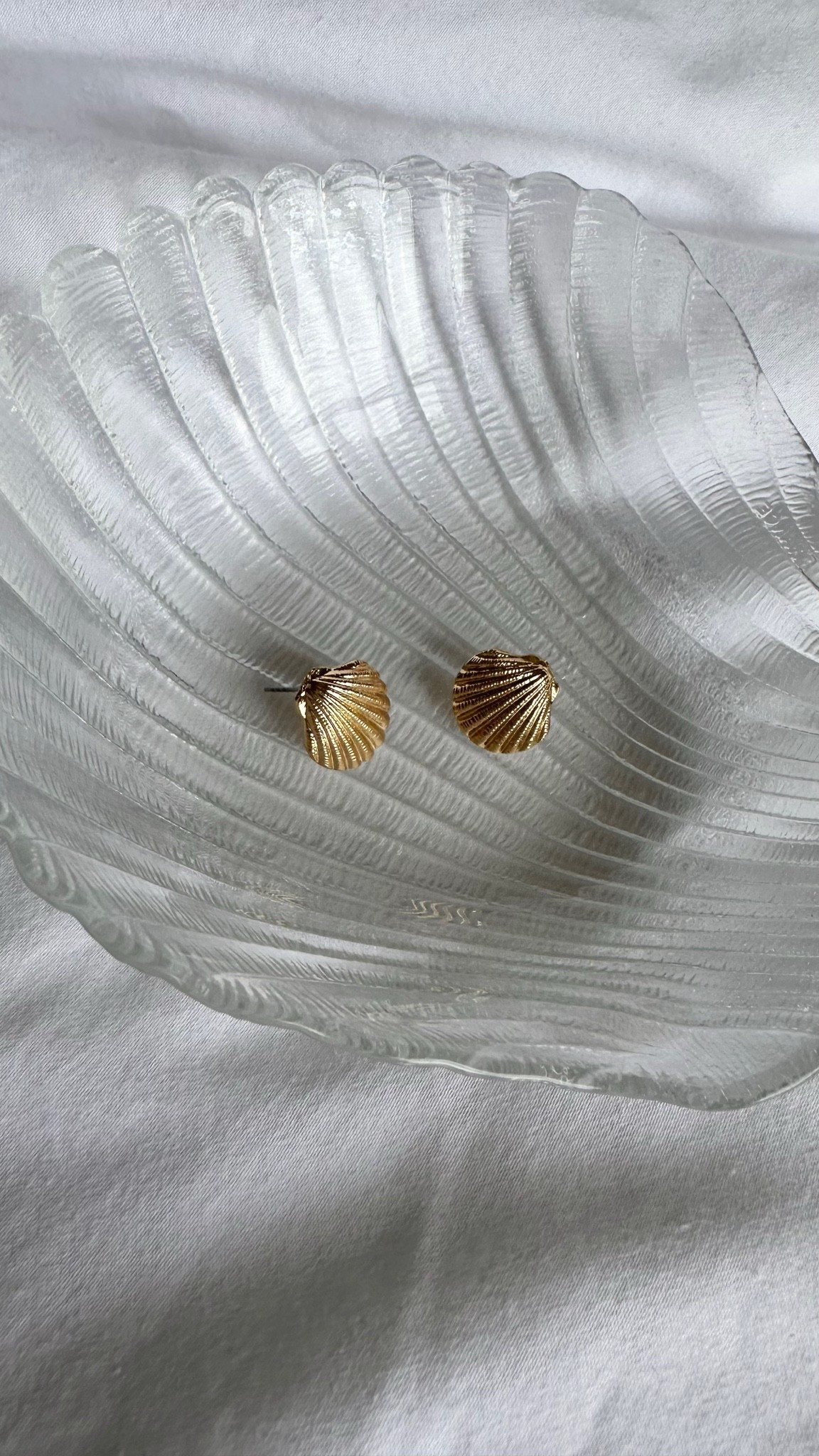 Seashell earings
