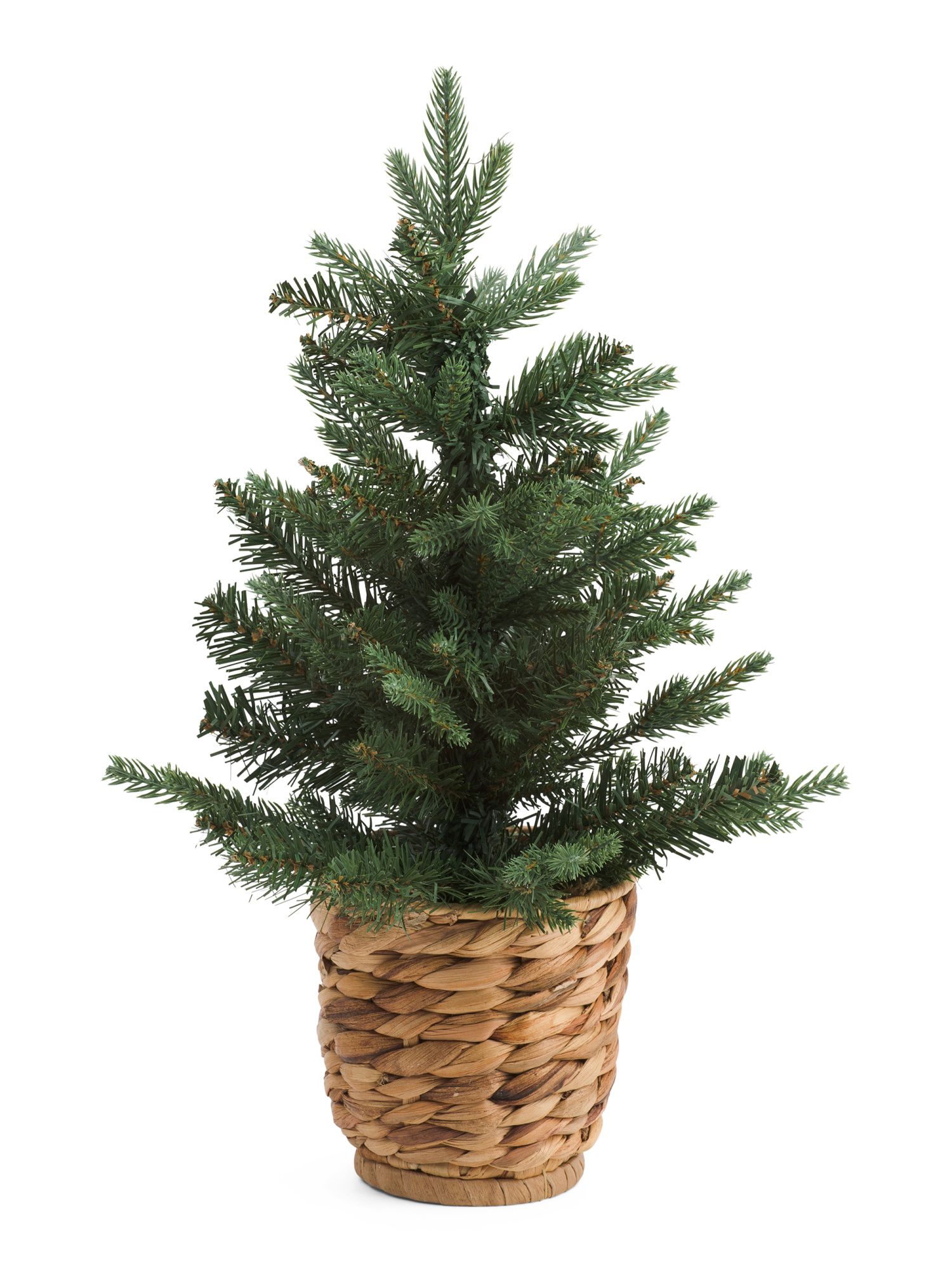 17in Tree In Woven Footed Basket | TJ Maxx