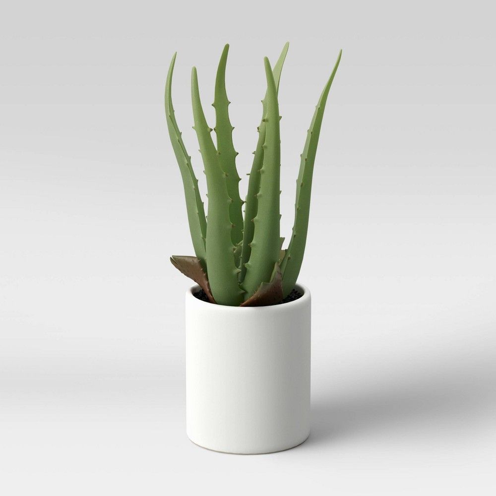 10"" x 5"" Artificial Aloe Plant Arrangement - Project 62 | Target