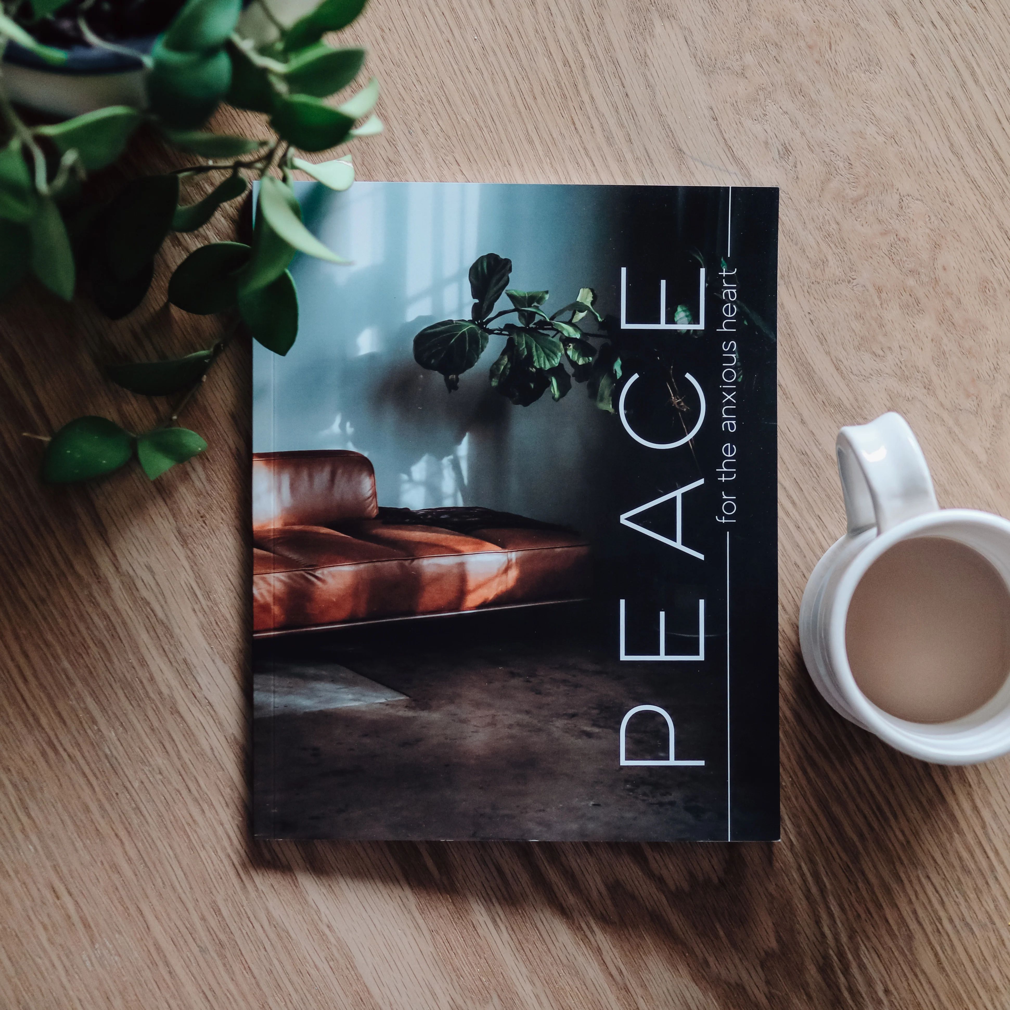 Peace for the Anxious Heart - Men | The Daily Grace Co.
