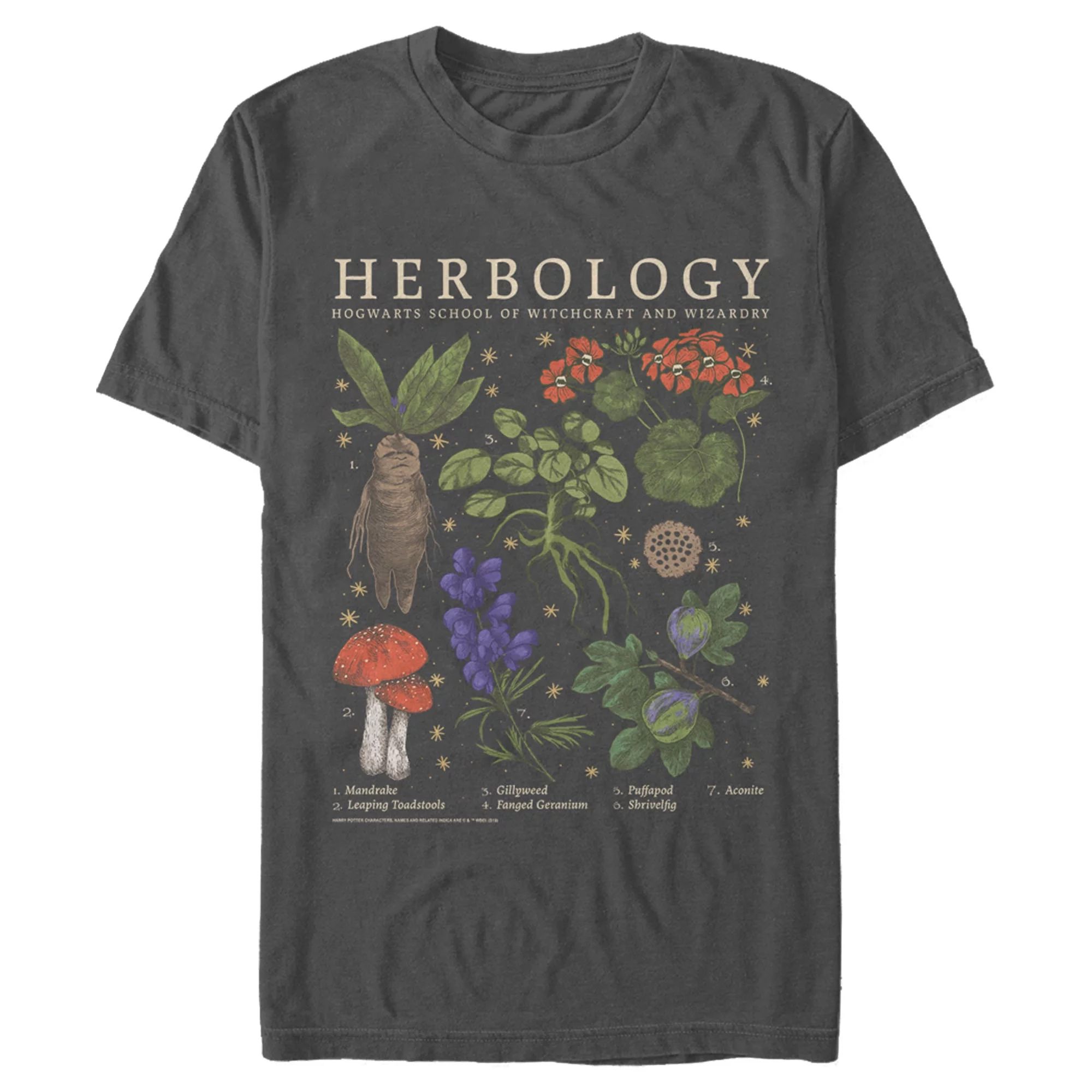 Men's Harry Potter Hogwarts Herbology  Graphic Tee Charcoal Small - Walmart.com | Walmart (US)