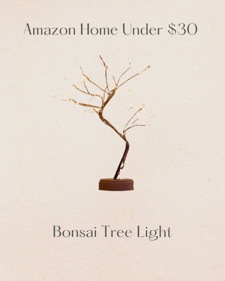 Amazon home decor under $30 - bonsai tree light



#LTKstyletip #LTKhome