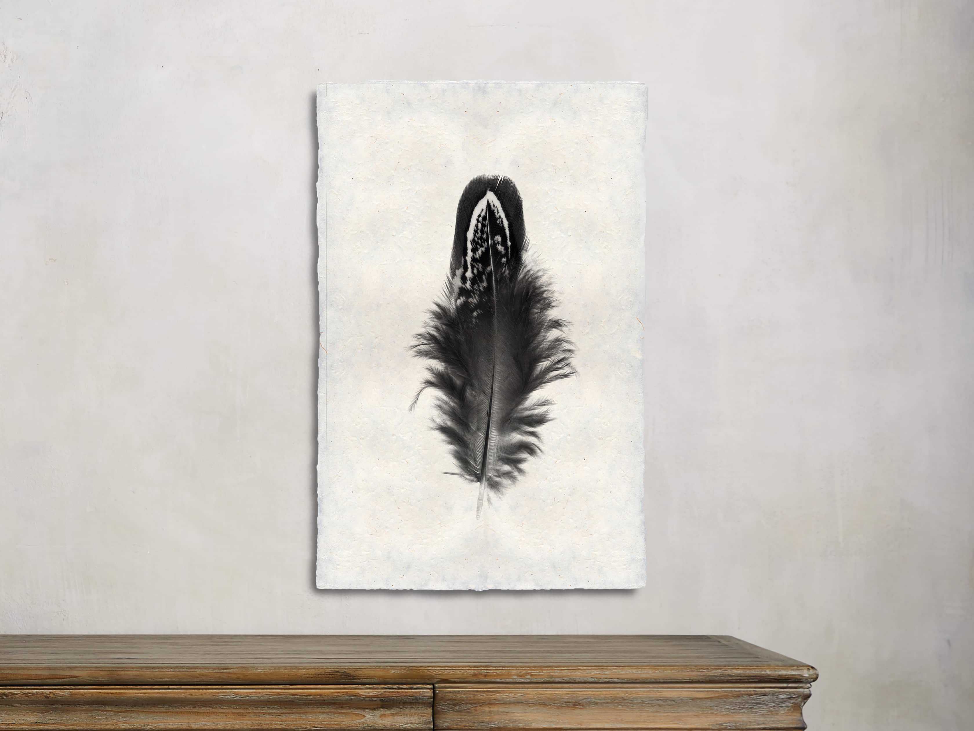 Feather Study Print III | Arhaus