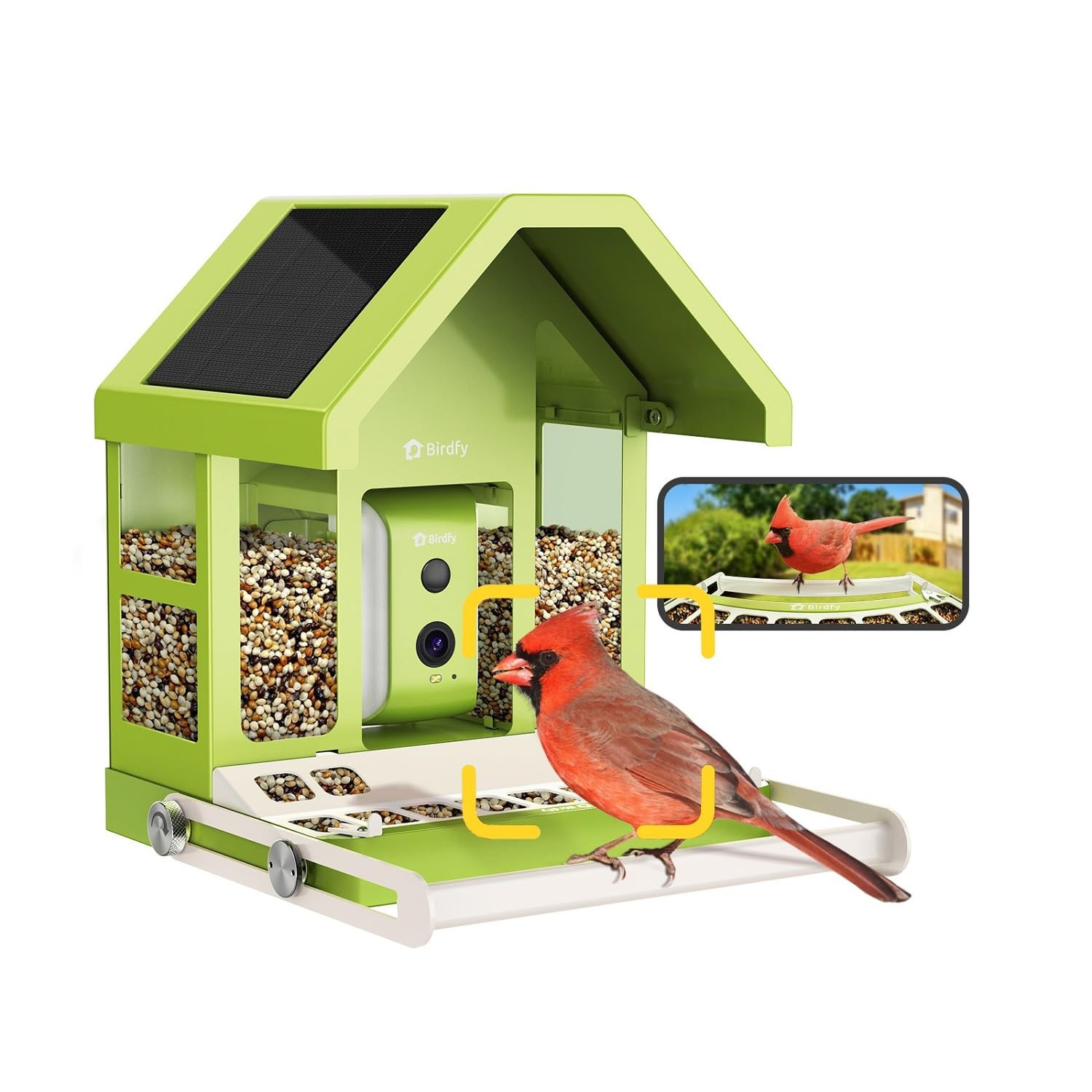 Birdfy Smart Bird Feeder with Camera, Durable Metal Bird Feeders for Outdoors, AI Identify Bird S... | Amazon (US)