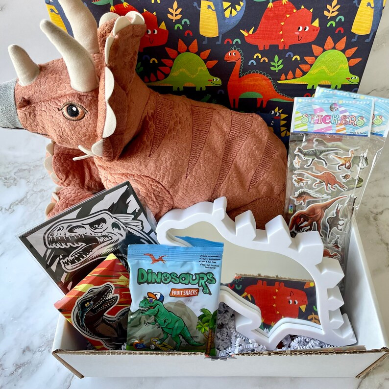 Dinosaur Mystery Box Dinosaur Care Package Dinosaur Gift | Etsy | Etsy (US)