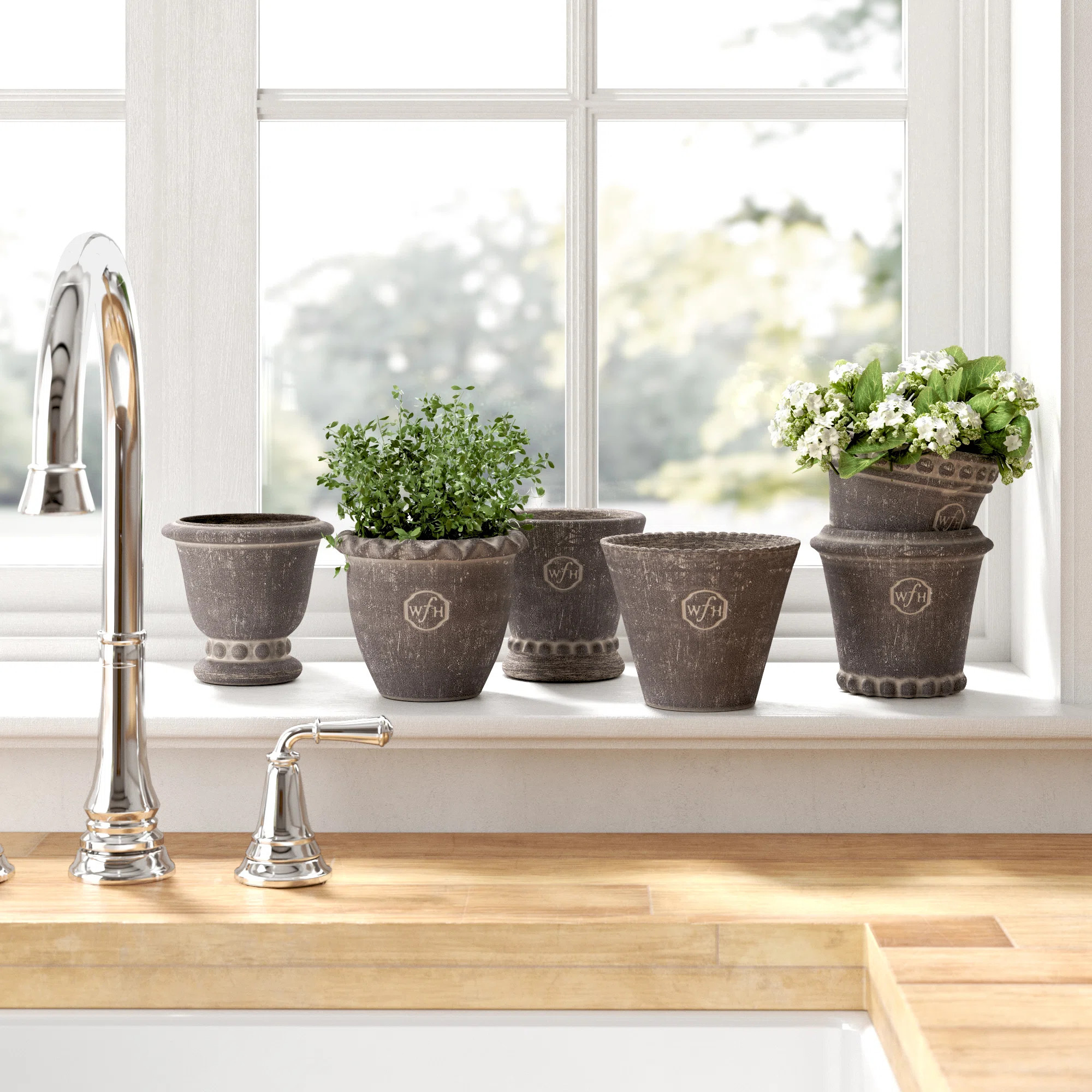 Birch Lane\u2122 Gavin Wh Mini Pots & Reviews - Wayfair Canada | Wayfair North America