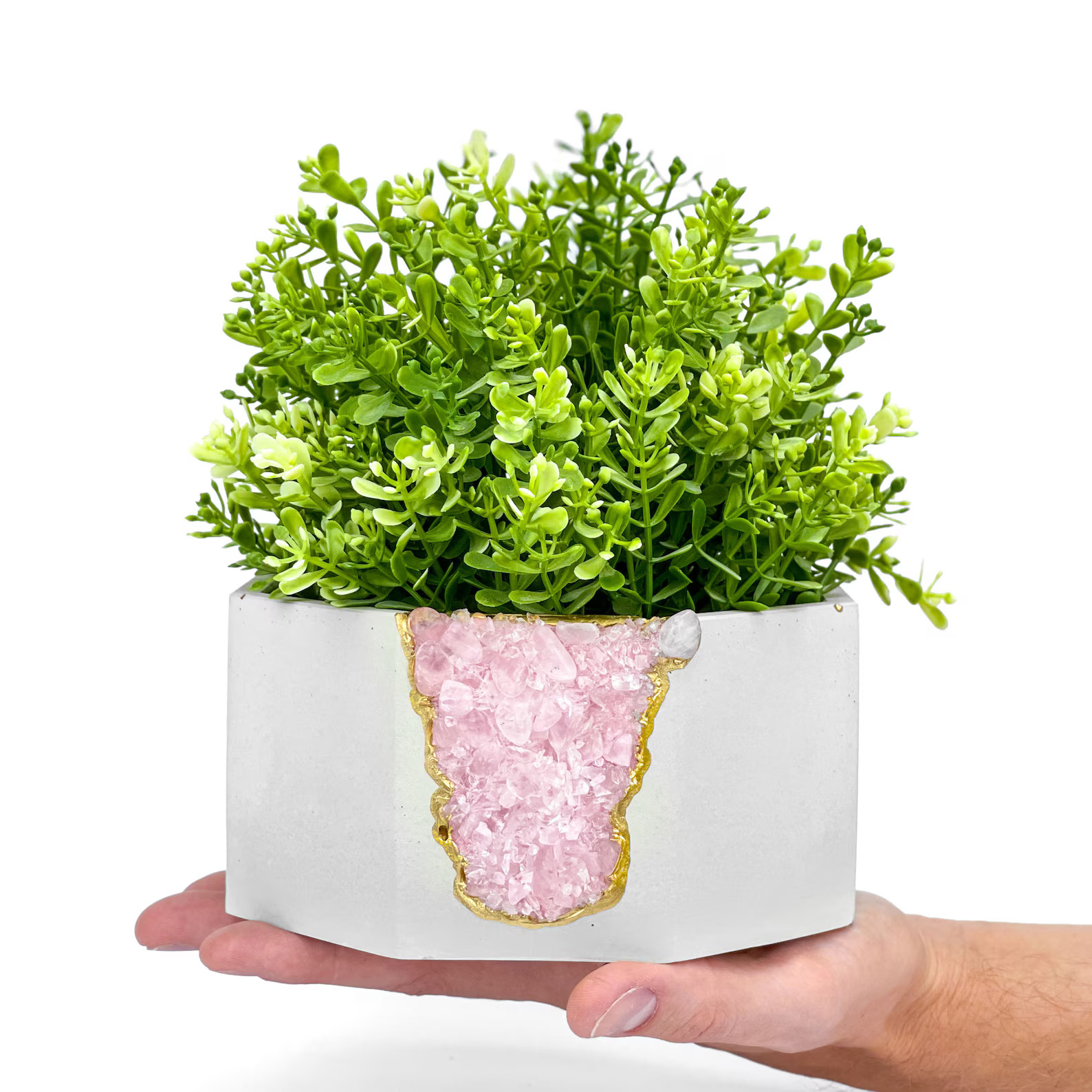 Big Geode Planter| Large Succulent Crystal Planter | Raw Rose Quartz Air Plant Holder | Modern Co... | Etsy (US)