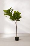 Potted Faux Rubber Tree | Urban Outfitters (US and RoW)