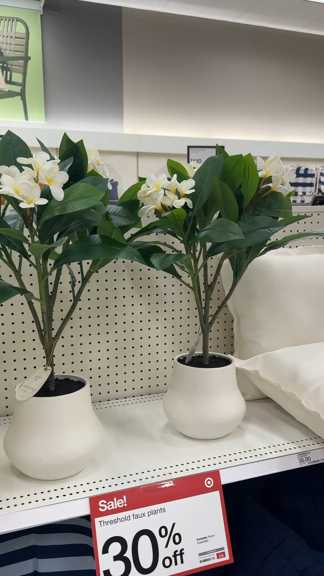 Pretty potted florals 30% off! 

#target #homedecor

#LTKdayinmylife #LTKSaleAlert #LTKHome