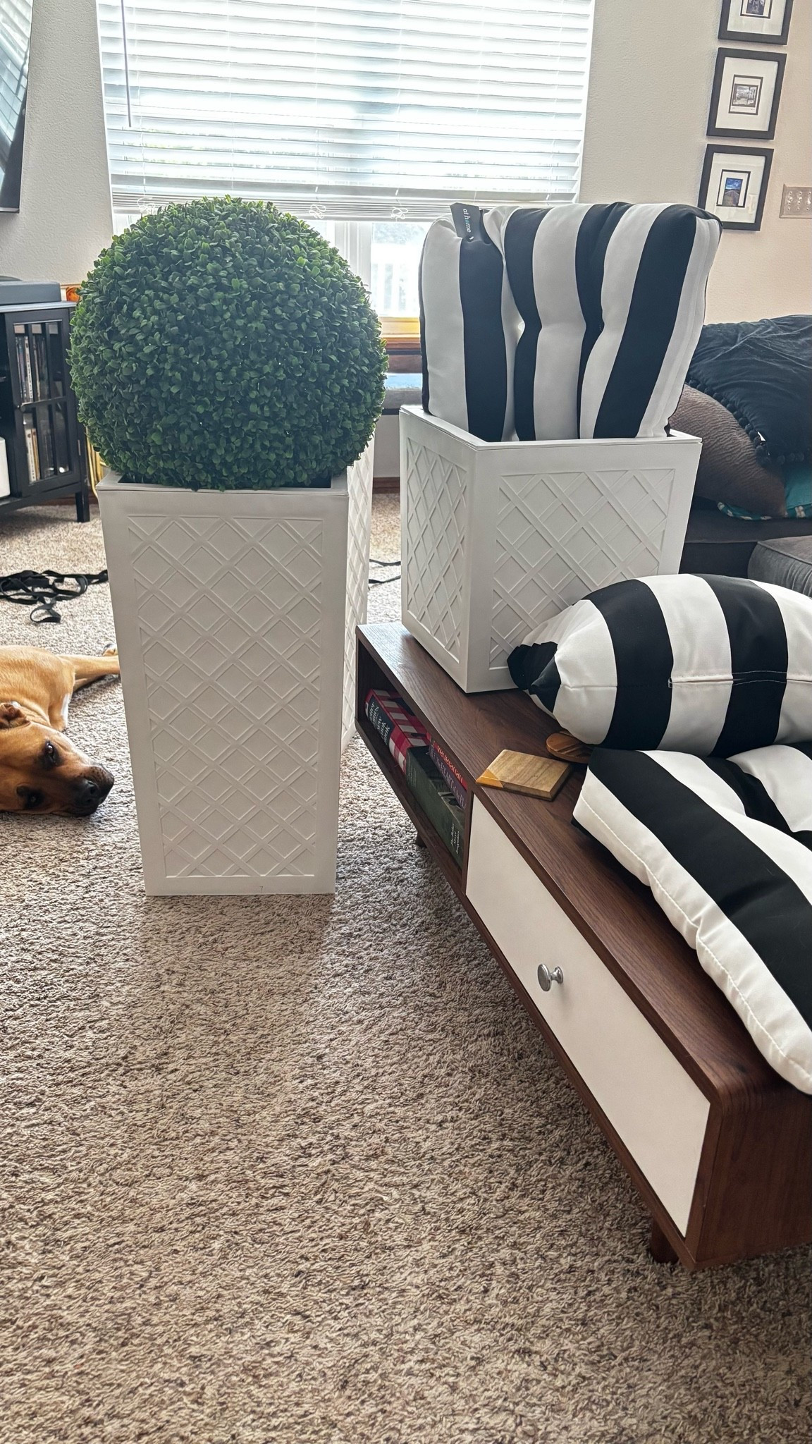 New outdoor decor loading…

#LTKHome #LTKSeasonal #LTKSaleAlert