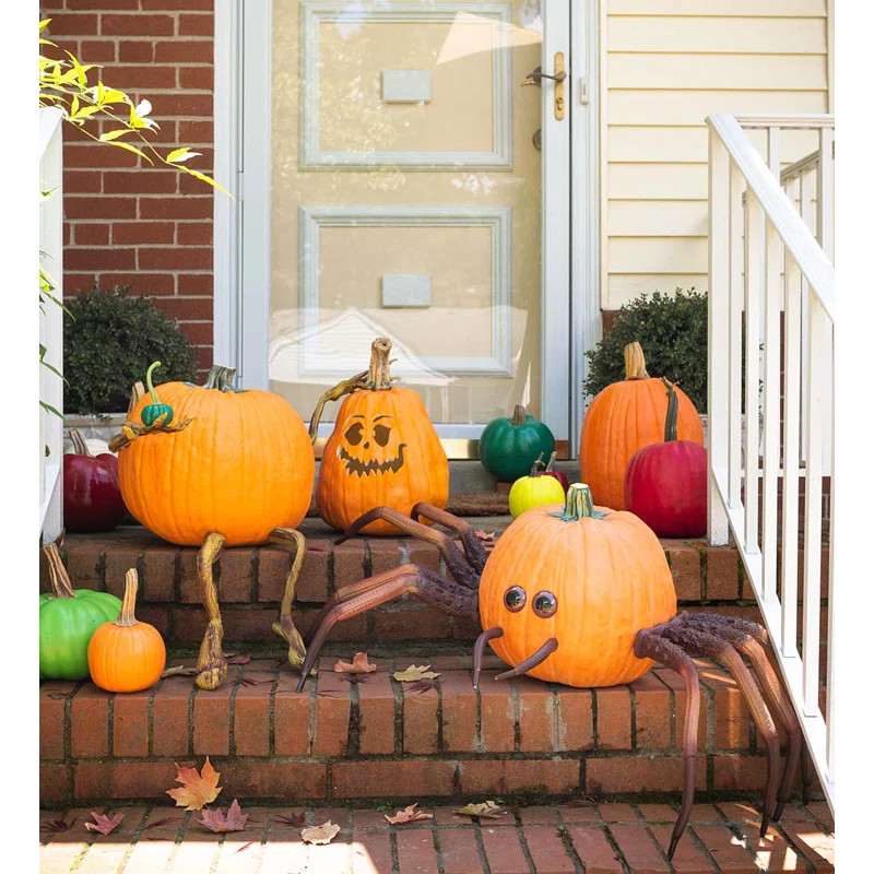 The Birch Lane Halloween collection is giving cozy, classic, and effortlessly chic! 🎃 From elegant pumpkins to spooky lanterns and beautiful seasonal accents, these decor finds make decorating for fall so easy. Perfect for creating a warm, inviting home that looks straight out of Pinterest. 🍂✨

#BirchLane #HalloweenFinds #FallHomeDecor #CozyHomeStyle #HalloweenInspiration #PumpkinDecor #AutumnDecor #SeasonalStyling #HomeDecor #FrontPorchGoals #LivingRoomInspo #ClassicHalloween #NeutralHome #DecorInspo #CozySeason #FallAesthetic #LTKHome #HomeShopping #HalloweenStyle #FallRefresh 

 #LTKSeasonal #LTKHome #LTKSaleAlert
