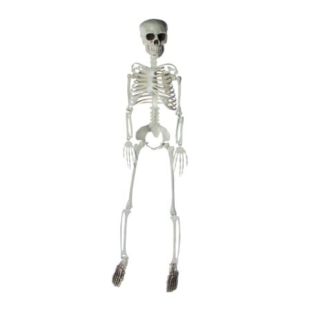 3ft Halloween Skeleton | Five Below