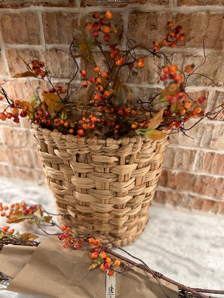 Obsessed w/ this faux bittersweet from an Etsy small shop🌿🍂it’s SUPER real looking & amazingly easy to bend and style! 10/10 suggest. 

Decor / fall inspo / interior design /cozy / florals / stems / small shop 

#LTKSeasonal #LTKfindsunder50 #LTKhome