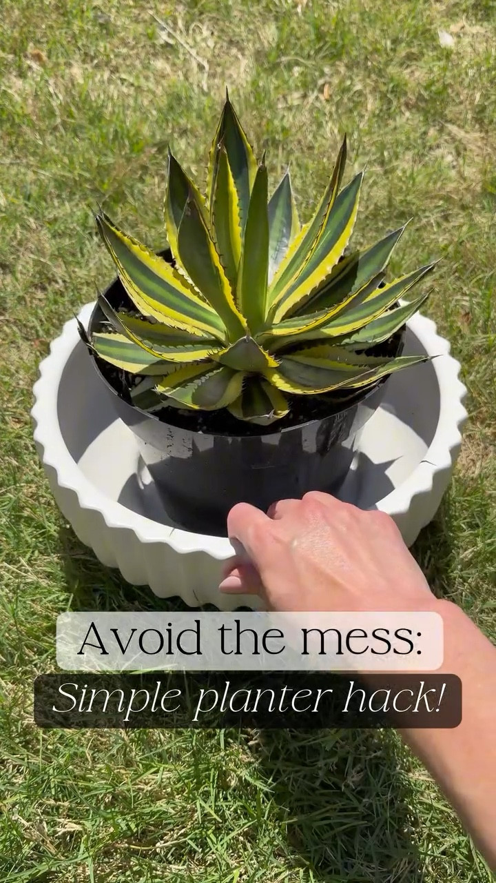 If you’ve ever ended up with a lopsided plant or dirt all over the counter… this is your sign to try this 🌿

Instead of guessing where your plant should sit, place it in the pot while it’s still in the nursery container, fill in the soil around it, pack it down, then lift it out and drop your plant right in.

Perfectly centered, way less mess, and it takes a fraction of the time!! 

Simple little hack that makes a big difference 🤍

#homehacks #planttips #patiodecor planter hack, spring porch decor, patio decor, planter design

#LTKSeasonal #LTKHome