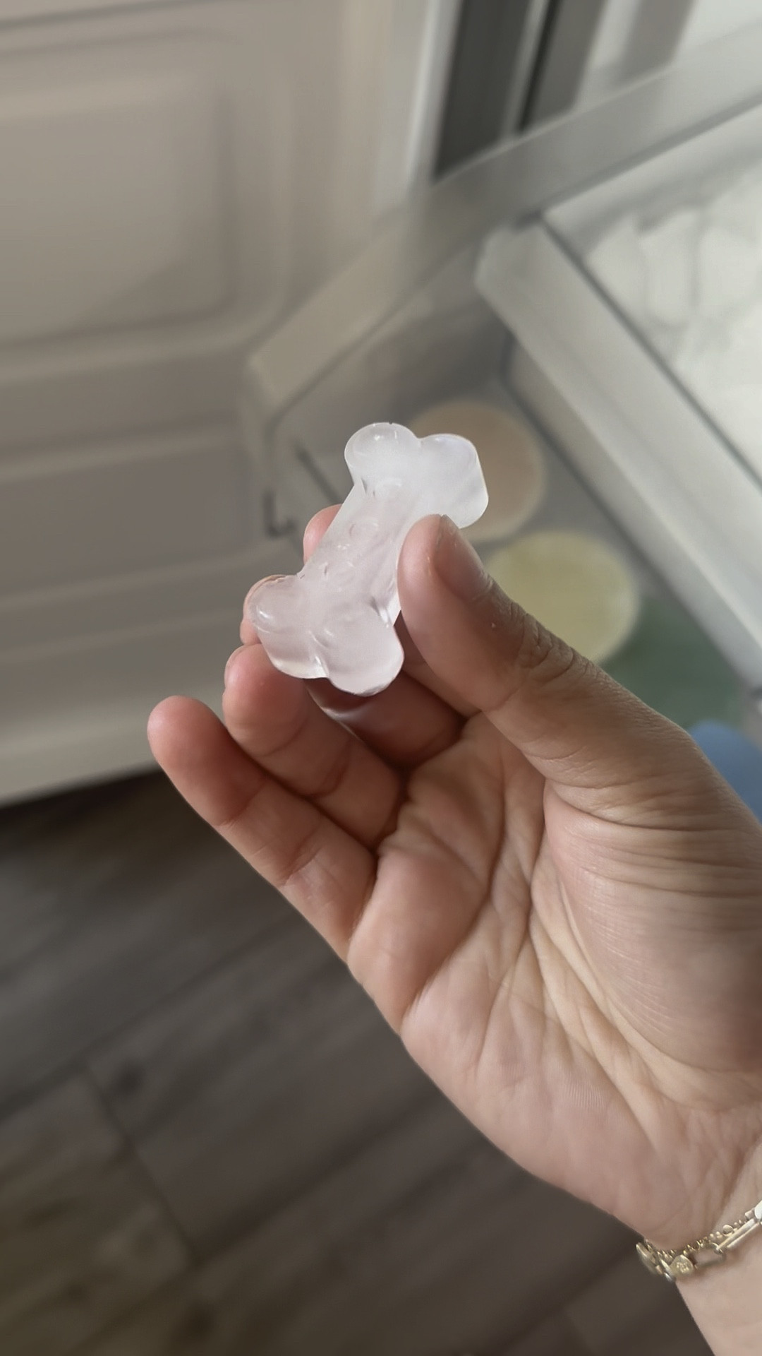 Cute ice cube molds for the doggo who loves her ice 

#LTKhome #LTKVideo #LTKfamily