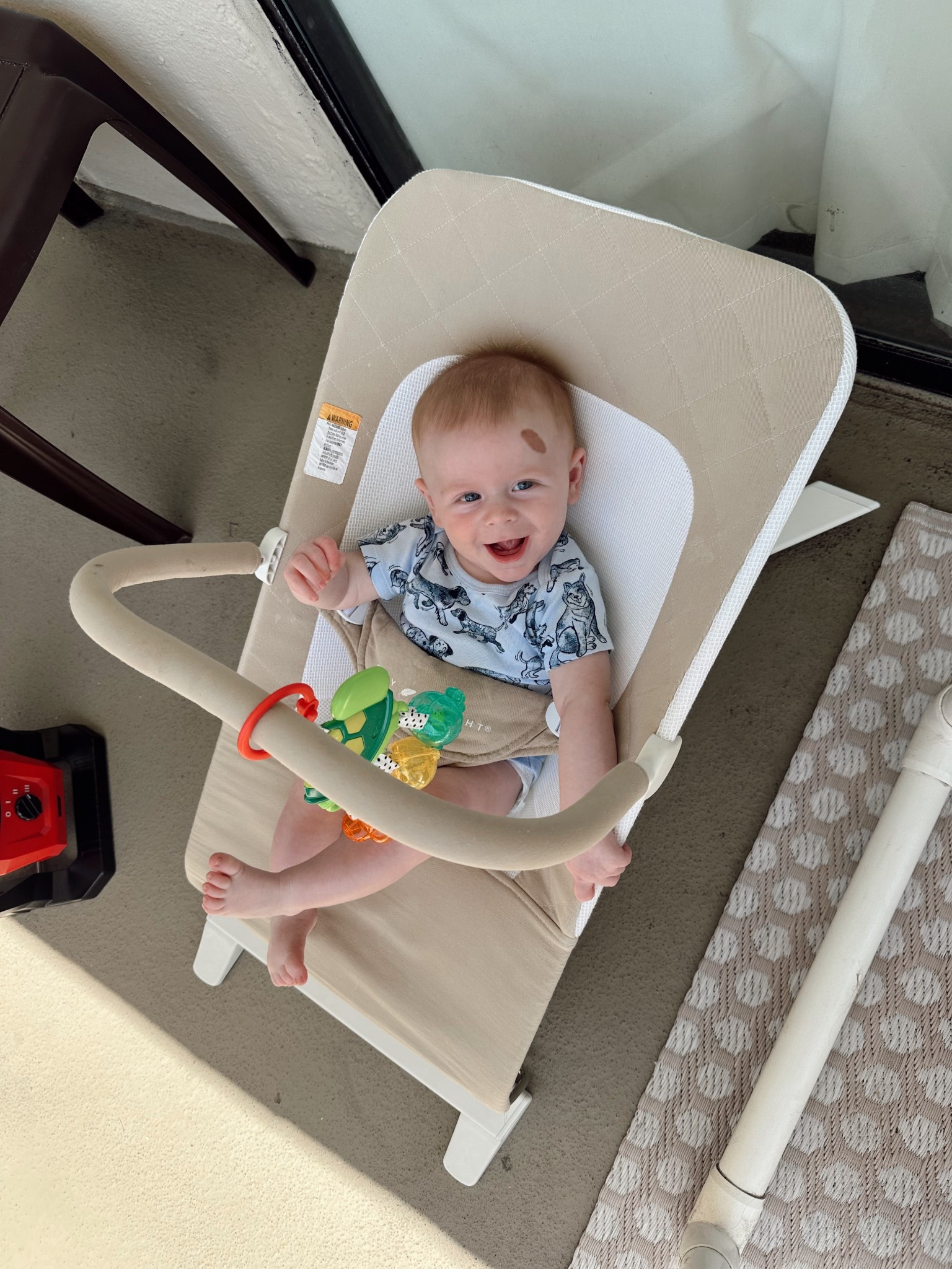 This bouncer is one of our most used baby products!! 

#LTKHome #LTKBaby #LTKSaleAlert