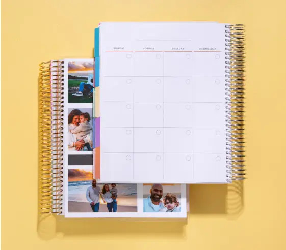 Evolve Daily LifePlanner™ Duo | Erin Condren