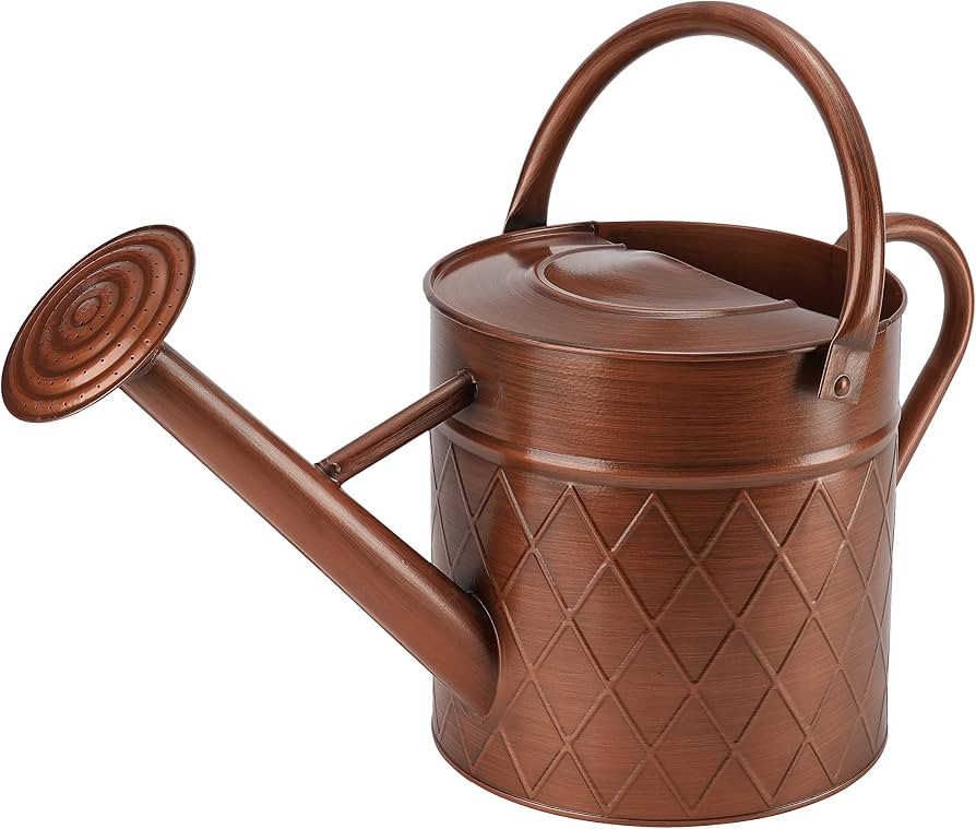 1.75 Gallon Outdoor Metal Watering Can for Garden Plants,Copper Color Watering Can with Removable... | Amazon (US)