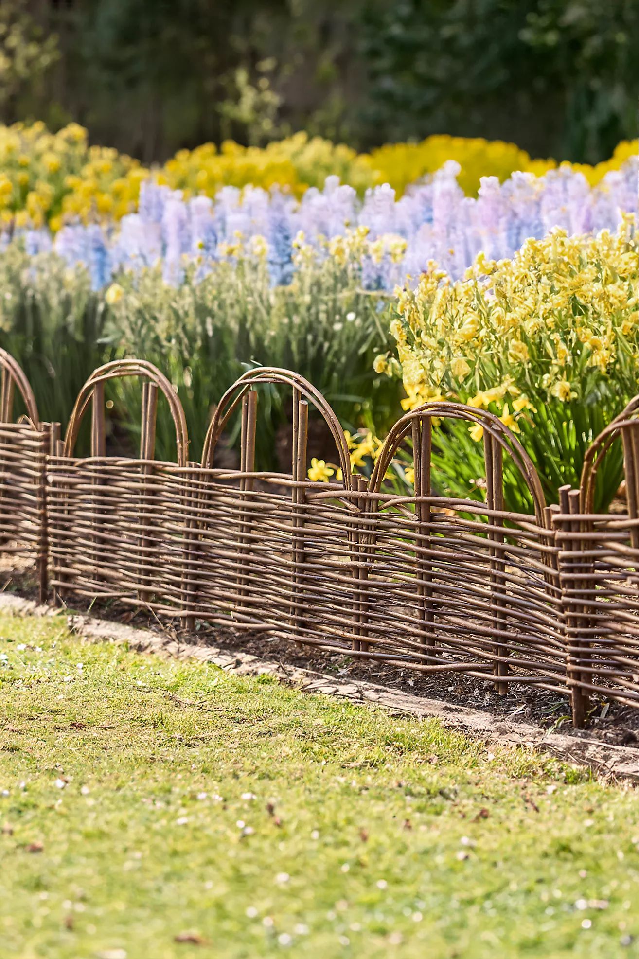 Woven Willow Arch Border Fencing, Set of 4 | Anthropologie (US)