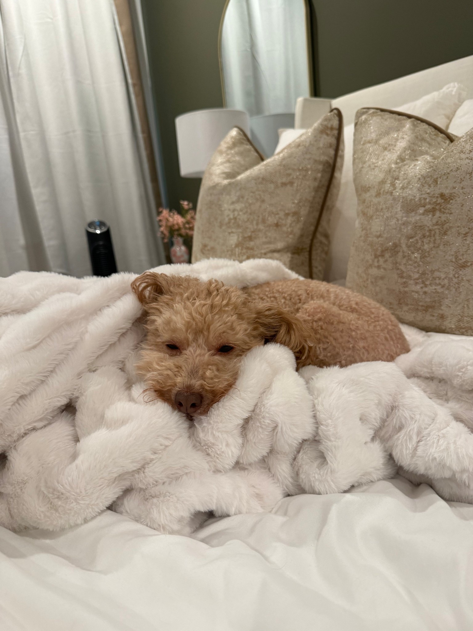 The best blanket - Lola blanket! 



#LTKCyberWeek