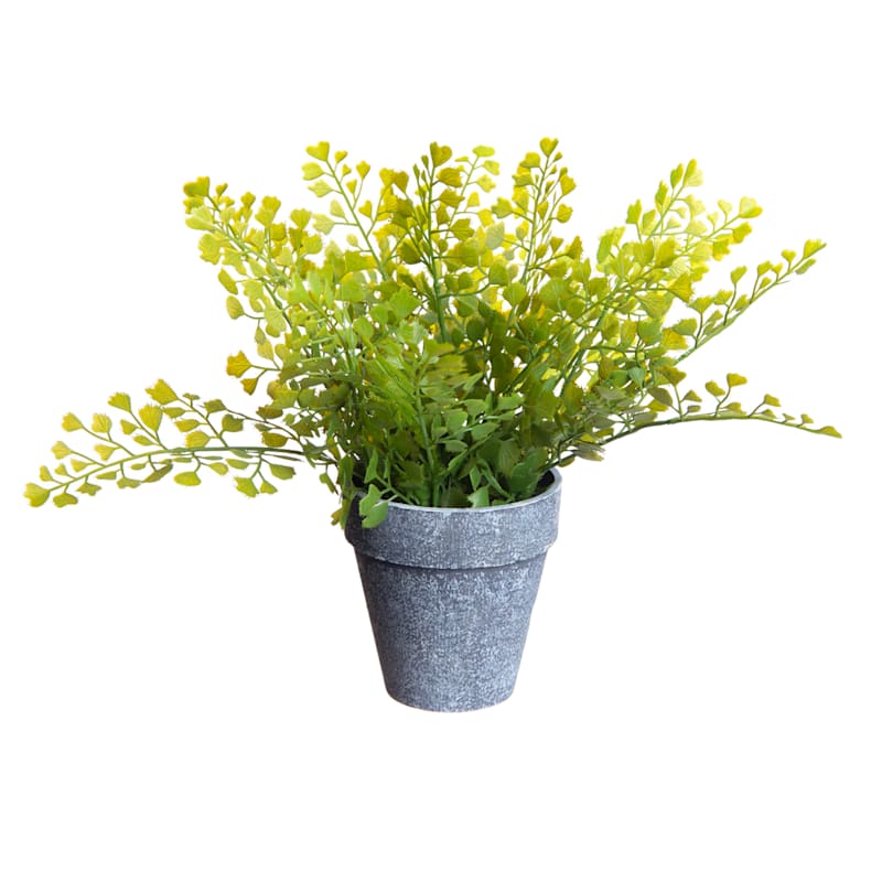 Honeybloom Faux Maidenhair Fern in Grey Ceramic Pot | At Home
