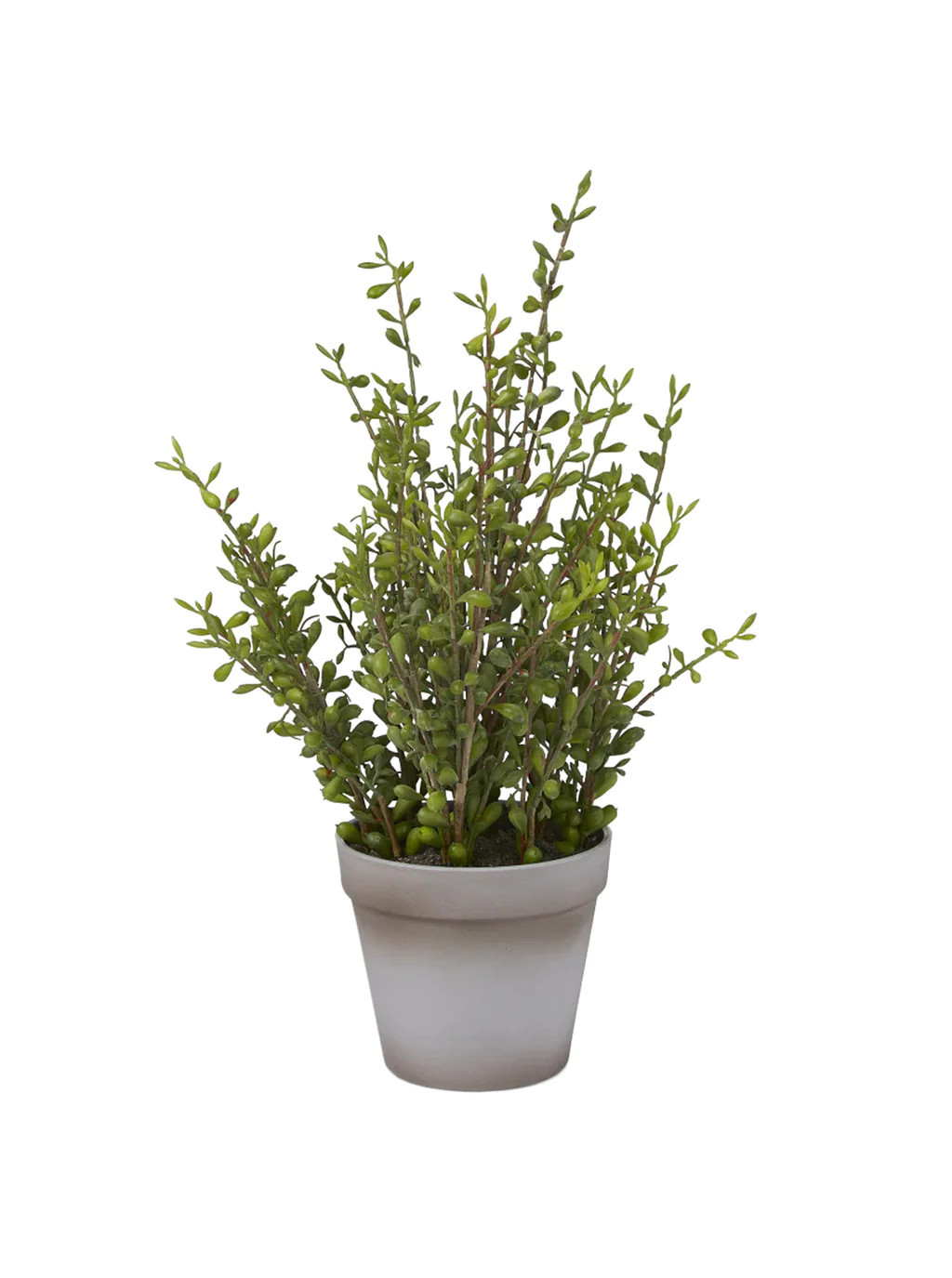 Faux Potted Pearl Plant | House of Jade Home