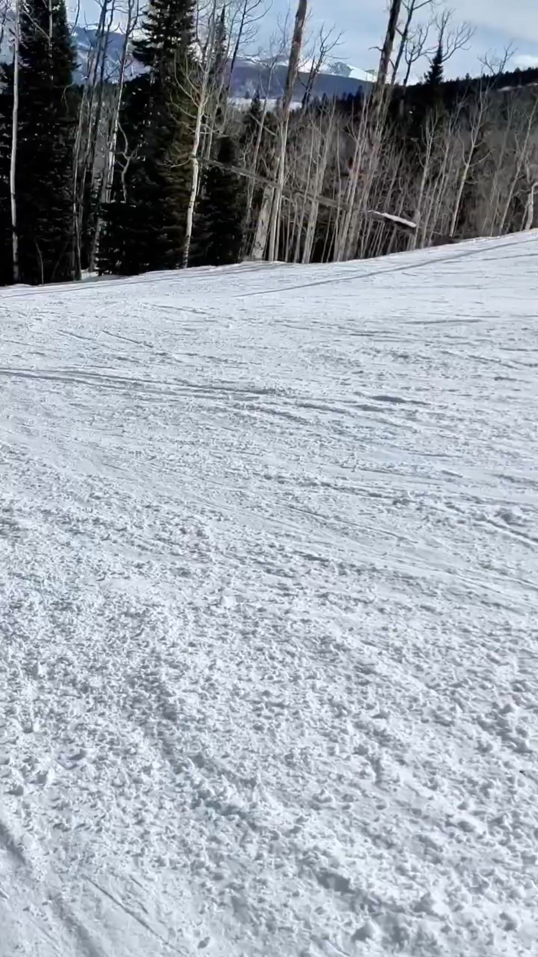 [GIVEAWAY] 🎄✨ Day 3 of 12 Days of Christmas Giveaways ✨🎄

Winter adventures are officially on 🤍
One lucky winner will receive:

🎿 4 lift tickets to Loon Mountain

Perfect for a snowy day with friends, a family ski trip, or a spontaneous winter escape to the White Mountains ❄️✨

To enter:
1️⃣ Follow @jqlouise and @loonmtnresort 
2️⃣ Like this post
3️⃣ Tag the crew you’d hit the slopes with below

🎉 Winner will be announced on New Year’s Eve 🎉
Day 4 coming tomorrow… the holiday magic continues 🎁✨

#12DaysofChristmas #HolidayGiveaway #LoonMountain #SkiSeason #WinterEscape #NewEnglandWinter #ski #skigiveaway #skiing #skiingislife #skiing🎿 #christmas #giveaway