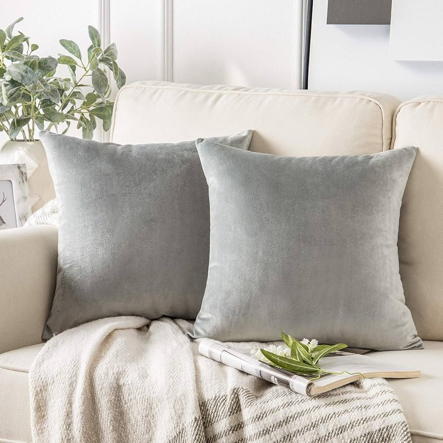 Phantoscope Pack of 2 Velvet Decorative Throw Pillow Covers Soft Solid Square Cushion Case for Co... | Amazon (US)