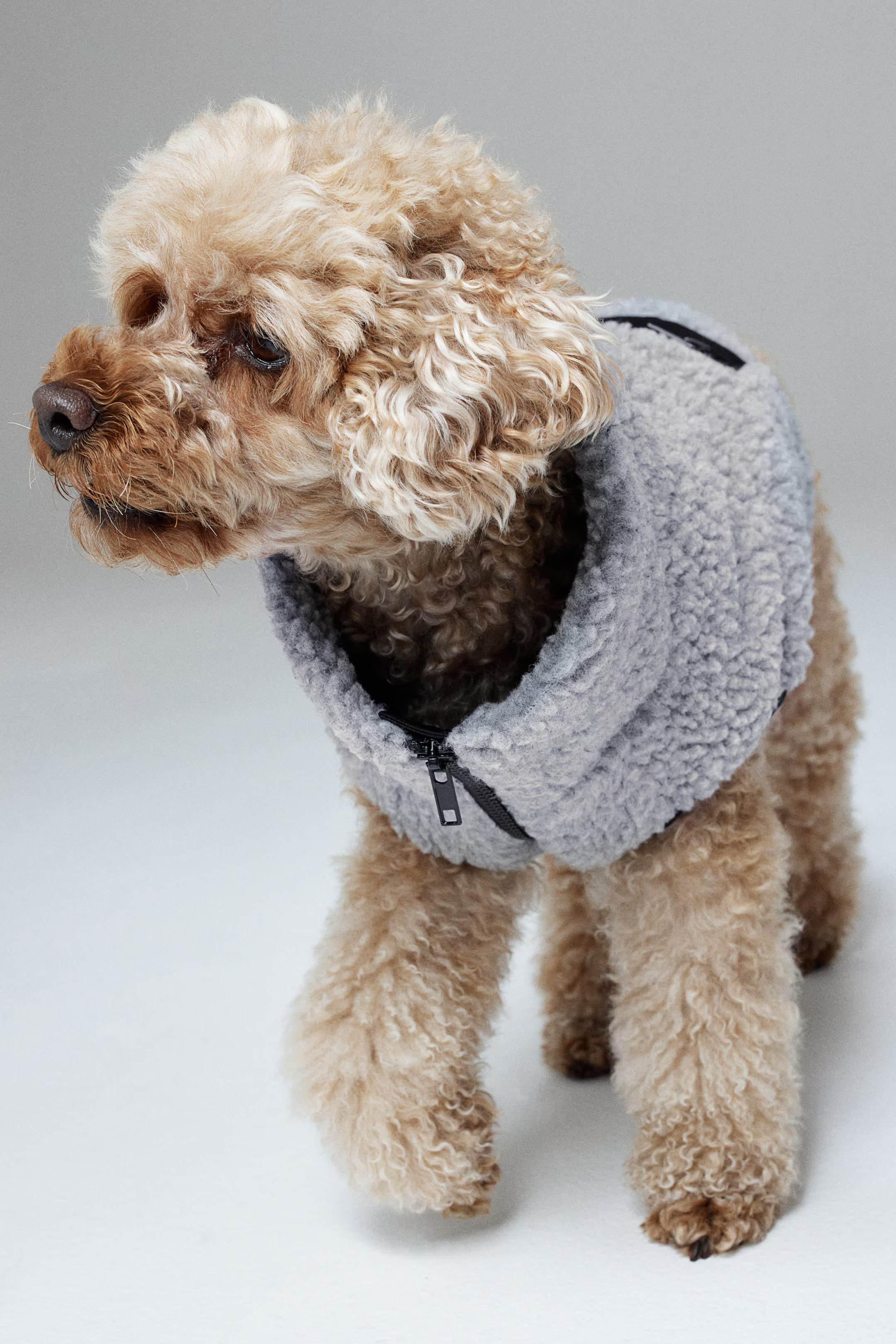 Teddy dog jacket - Grey - Ladies | H&M GB | H&M (UK, MY, IN, SG, PH, TW, HK)