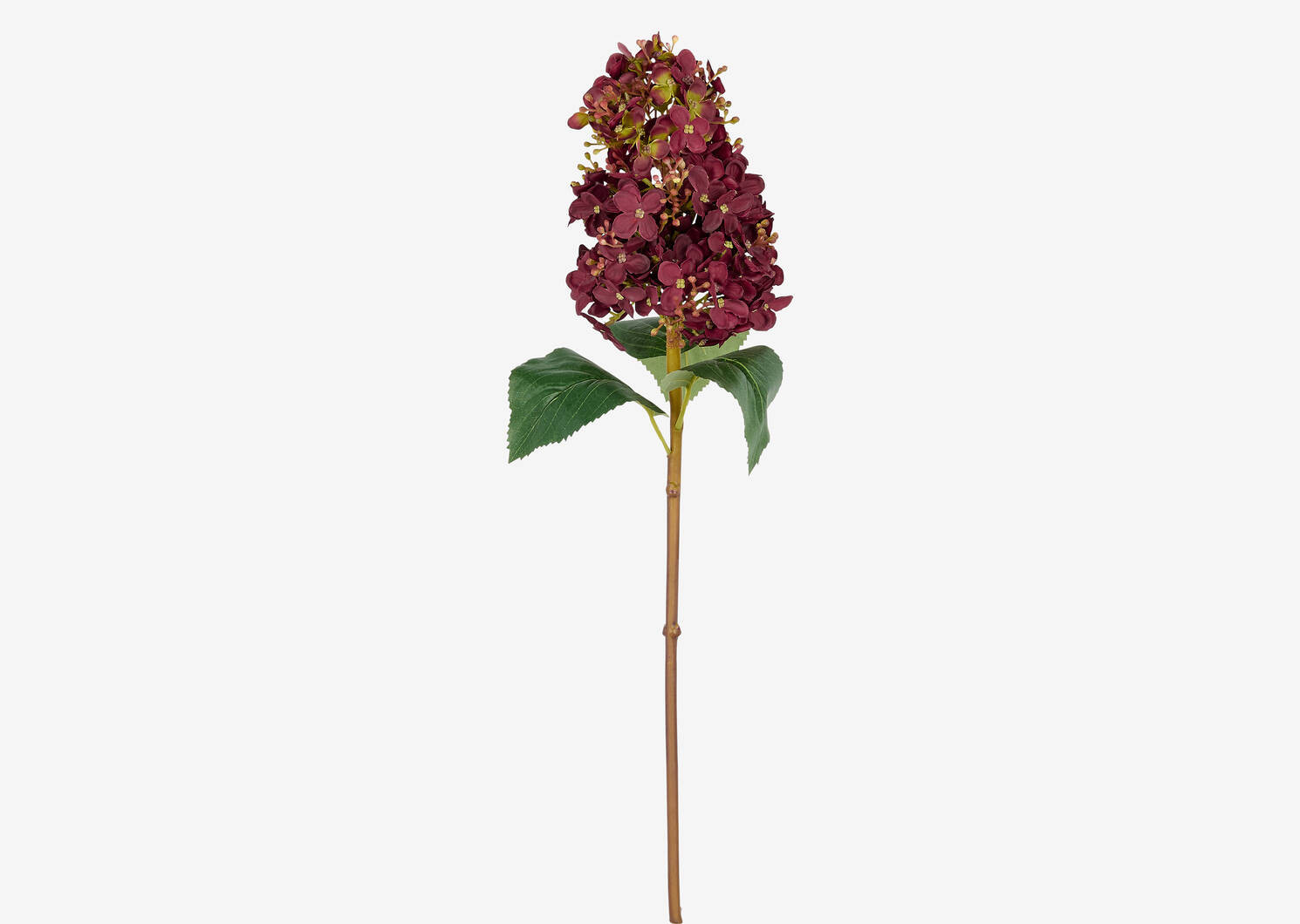 Beth Cone Hydrangea Stem Red | Urban Barn