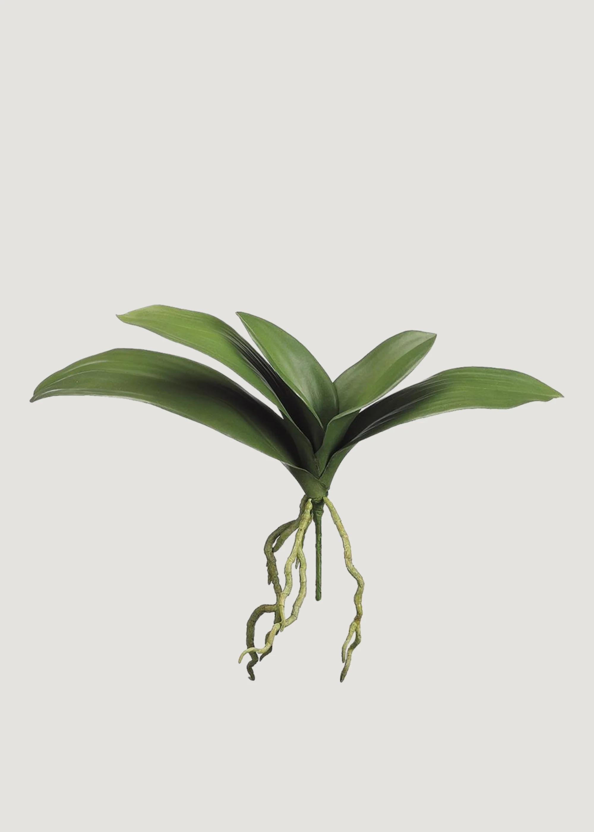 Artificial Phalaenopsis Orchid Leaf Plant - 15" | Afloral