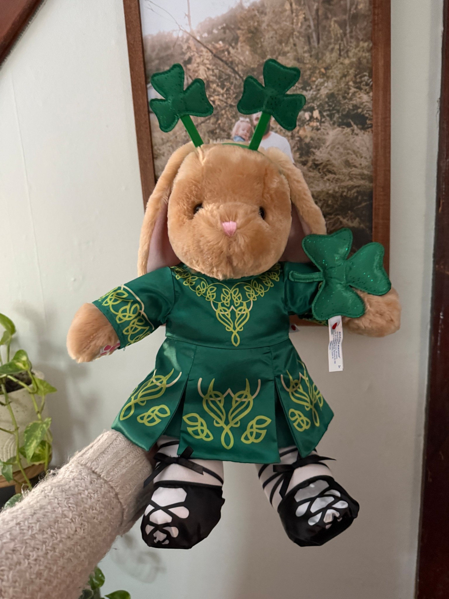 The cutest Irish, dancing bunny for my tiniest Irish dancer! 

#LTKSeasonal #LTKKids #LTKBaby