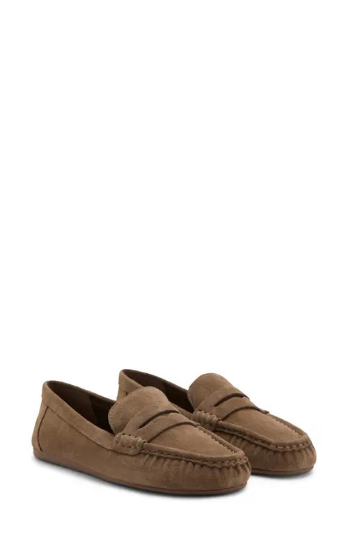 MANGO Suede Penny Loafer in Medium Brown at Nordstrom, Size 38 | Nordstrom