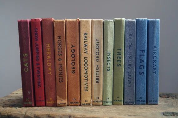 Observers Books  Vintage  Well Loved  Rustic  Shelf Decor - Etsy UK | Etsy (UK)
