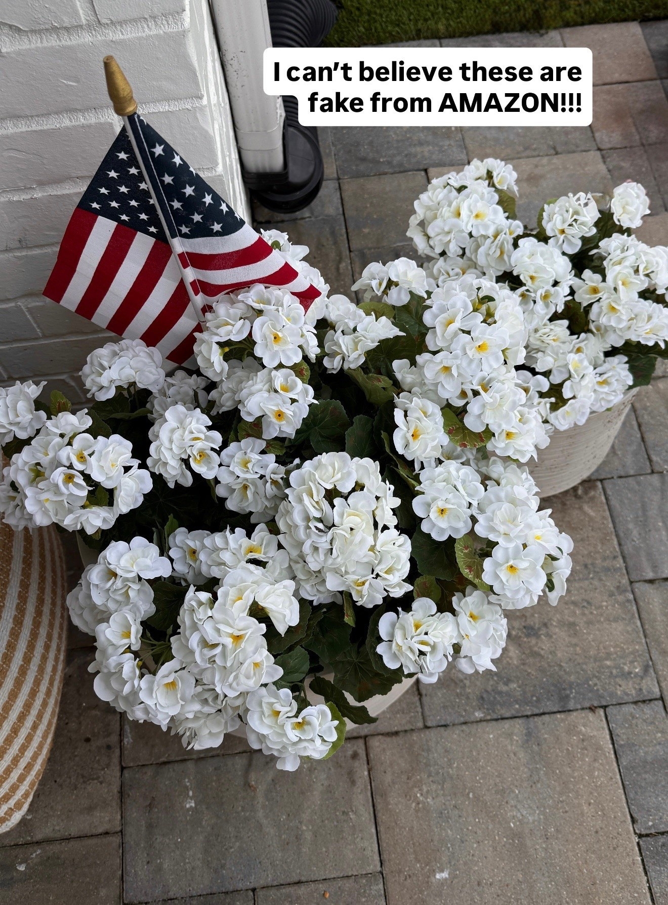These faux outdoor stems are from AMAZON and look so realistic!!!!!! 

amazon finds, amazon outdoor, amazon stems, amazon seasonal

#LTKSeasonal #LTKHome