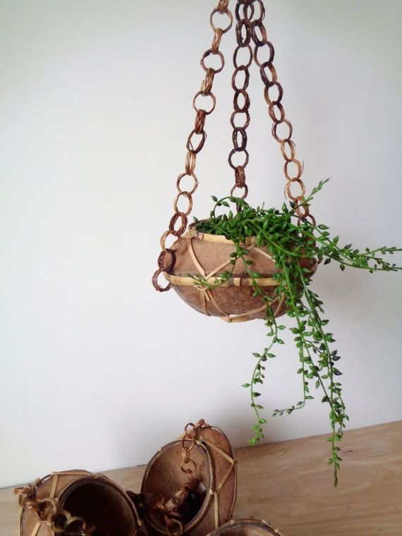 Vintage Boho Jungalow Hanging Coconut Shell Planter / Plant Hanging Display / Macrame Inspired Folia | Etsy (US)