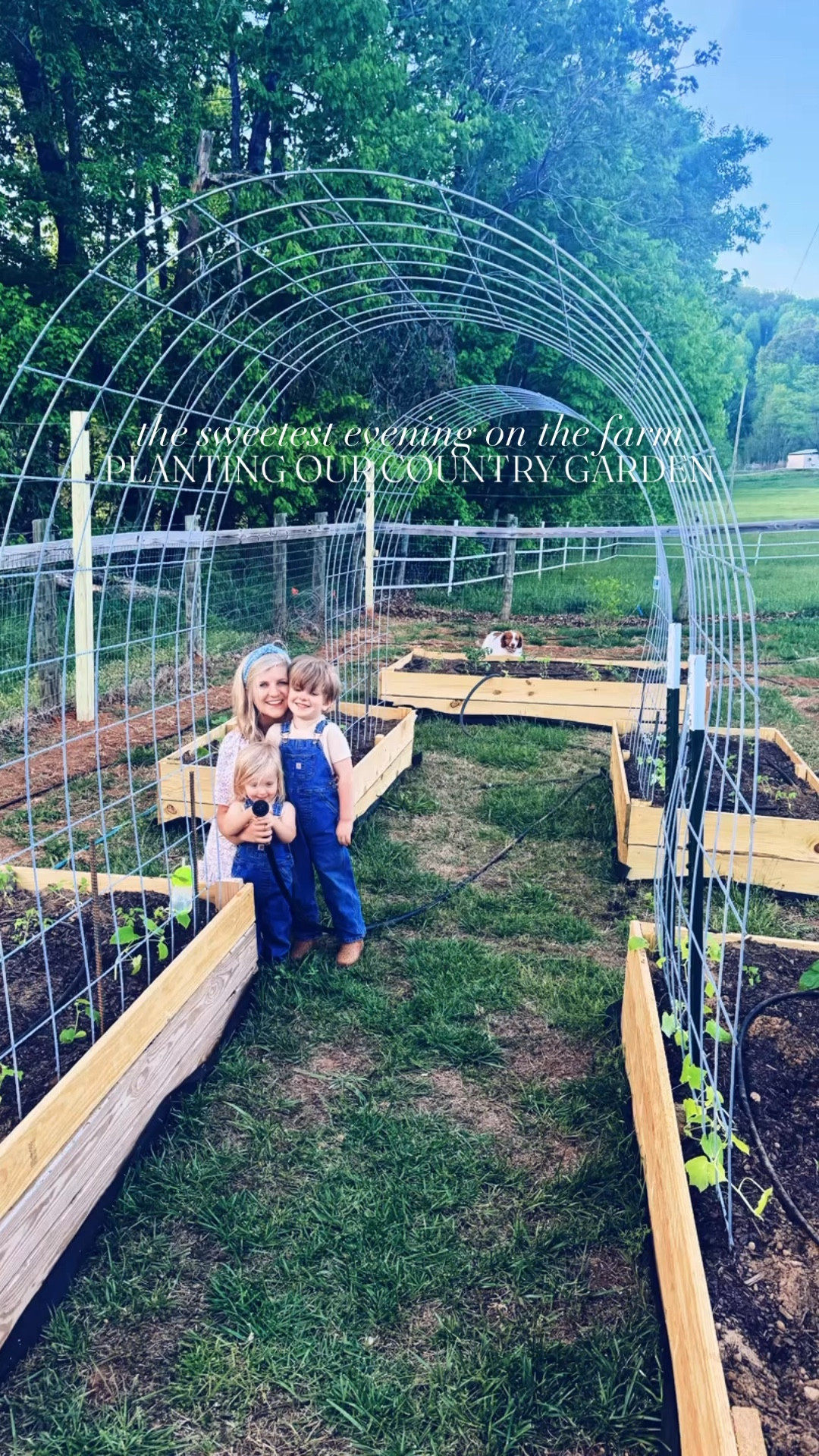 We planted 🌱 our spring 💐 and summer 🍅 garden 🪴 this beautiful sunny ☀️ evening out here  o n  t h e  f a r m 🚜🌾 and these two little matching @carharrt overalls 👖 wearing country babies 👶🏼🩵👶🏼 sure did have fun digging 🪏 in the dirt 🤎 (& spraying the water 💦 hose 🚿 hehe 🤭) with mama and dada!!! 🤗🌿🌳🌞🌅 #plantingourgarden #countrygarden #farmhouseonthehill 

This is my very favorite 😍 time of the year ☀️🌾🪴🌸🌻🪻 and I just can’t wait to watch this beautiful country garden 🪏 of my dreams 💭 grow and burst with life 🤩 this season ahead!! 🌿 And even more (!!) special starting our plants 🌱 from seed (!!) this year for th first time, too!! 🌾 That beautiful kitchen window 🪟 sunlight 🌞 really got our seedlings ready to go!! 🙌🏽 Wes built 🛠️ these garden beds 🪵 and the fencing from scratch 💪🏽, tilled the rows 🚜 for my flowers 🌻 and watermelon 🍉 (& some other plants 🤩), and hand-installed an irrigation system 💦 - I mean… what a guy!!! 😮‍💨🔥 Praying 🙏 for a bountiful harvest 🧺 of lots of flowers 💐 and yummy produce 🥒🍅🫐🫑🍉 🫛🫘 ahead!! 💛 

Cheers 🥂 to the *official* start to gardening 👩‍🌾 season around here 🪏🌱 - with our hands 🙌🏽 in the dirt 🤎 and our hearts 💕 full of love!!! 🧺🌸 Still feels so  s u r r e a l  that we are *living* our dream 💭 in our sweet farmhouse on the hill 🏠⛰️ now… and so stinking special getting to plant our very first garden 🪴 for our very first spring 💐 and summer 🌞 season here in our forever home!! 🏡☀️ Thank you, Lord, for these blessings from above ⛅️ and the gift of it all!! 🙌🏽 #happygardeningseason #firstspringonthefarm

#LTKKids #LTKHome #LTKmomlife