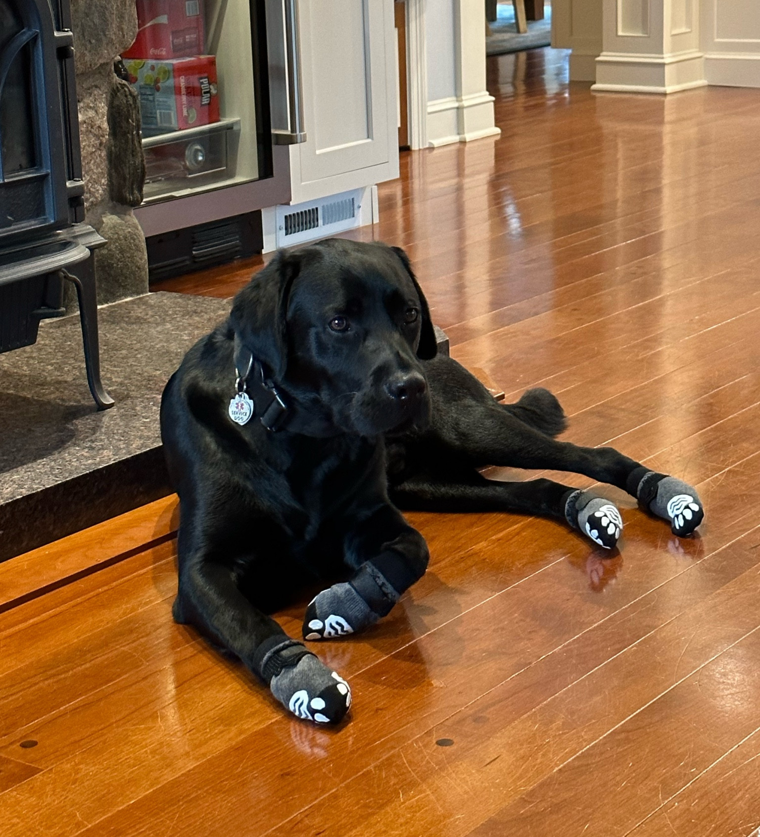 Socks g to keep your hard wood floors scratch free! 