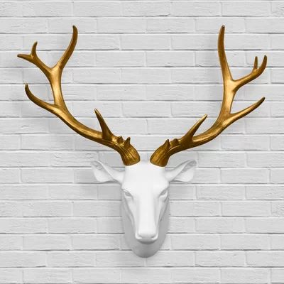 Mule Deer Antler Wall DÃ©cor Foundry Select | Wayfair North America