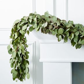 Silver Dollar Eucalyptus Garland | West Elm (US)