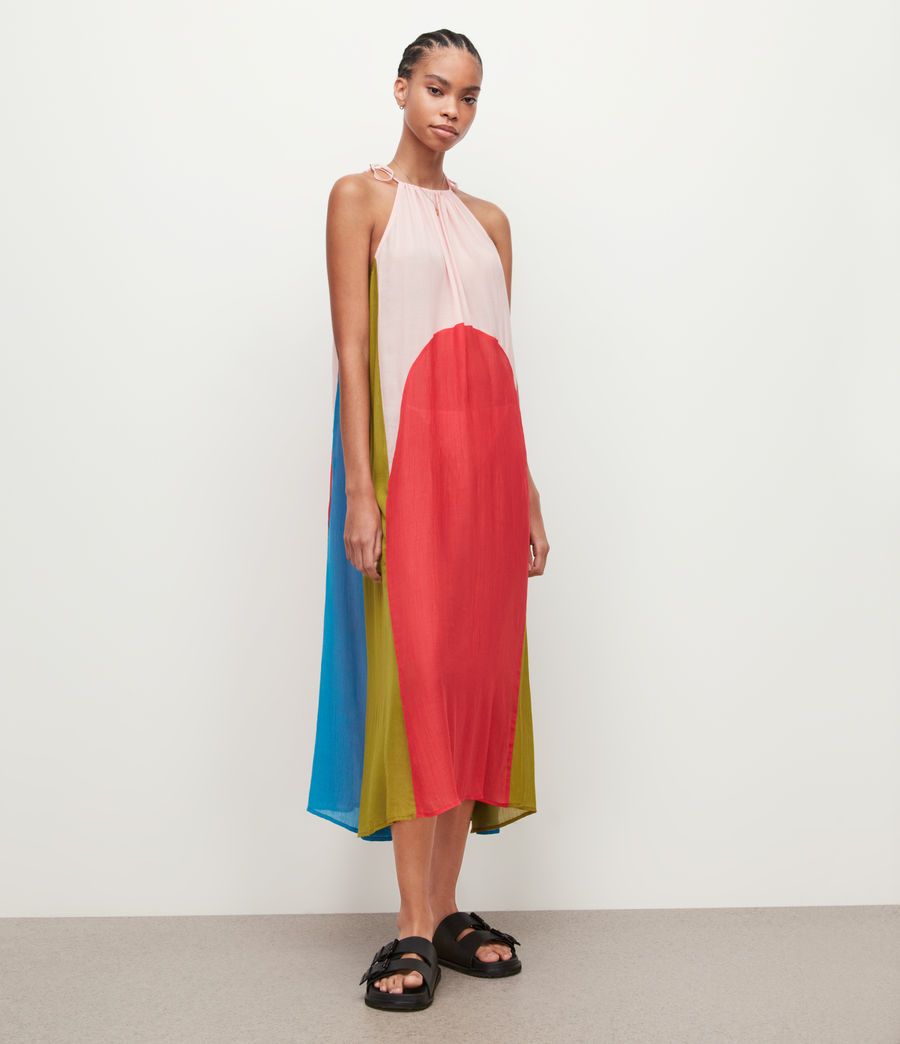 Aida Color Blocked Maxi Dress | AllSaints US