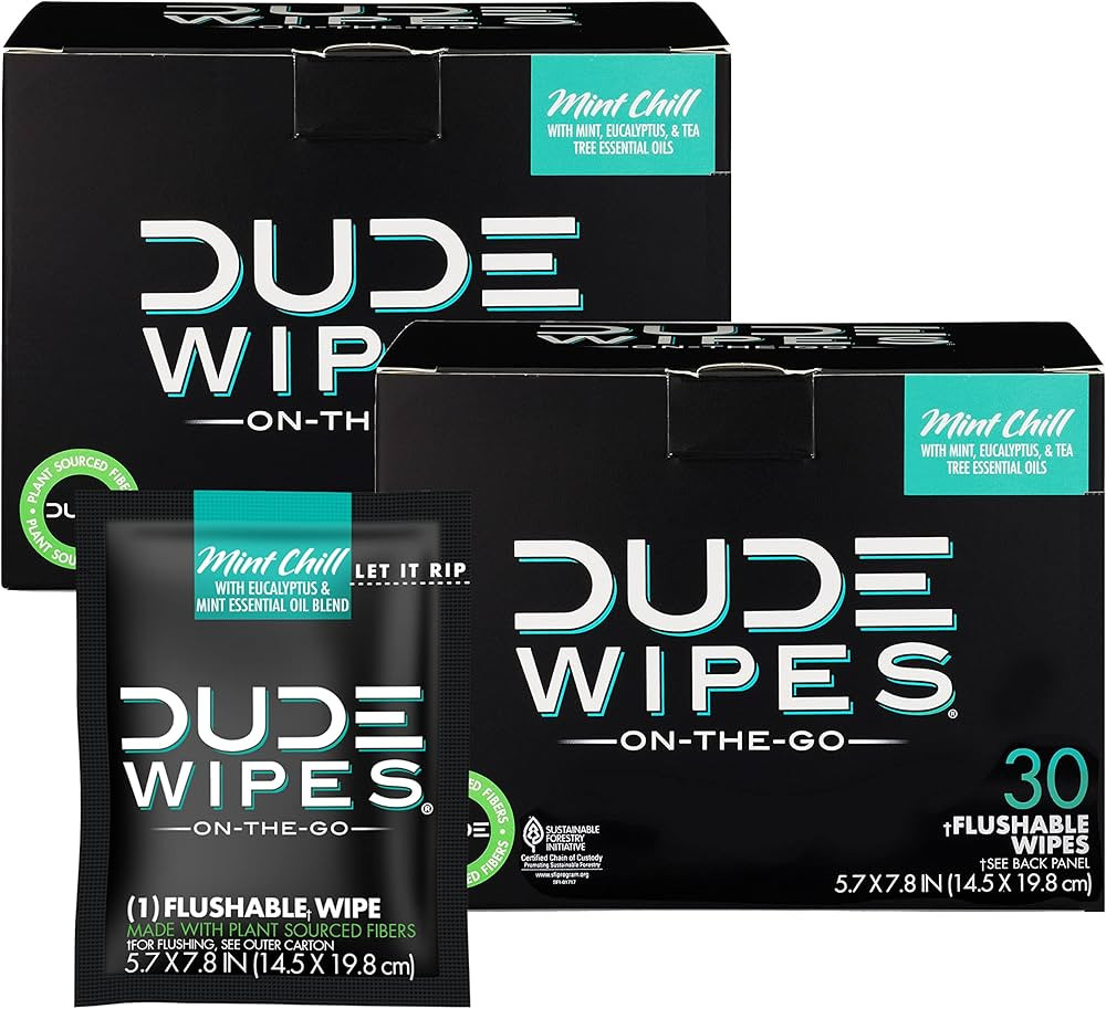 DUDE Wipes - On-The-Go Flushable Wipes - 2 Pack, 60 Wipes - Mint Chill Extra-Large Individually W... | Amazon (US)