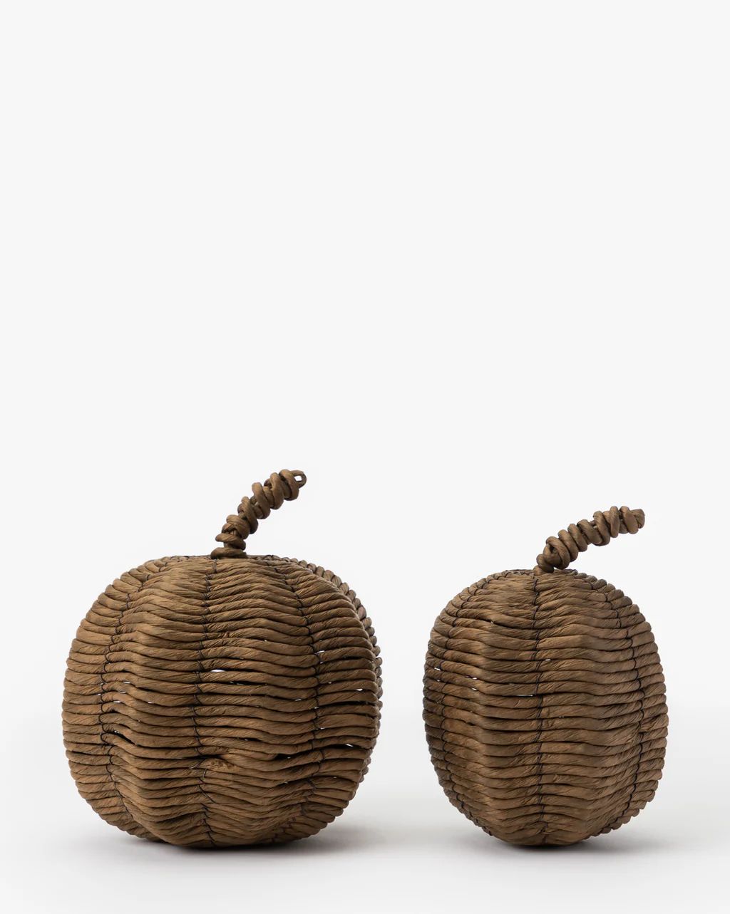 Woven Pumpkins (Set of 2) | McGee & Co.