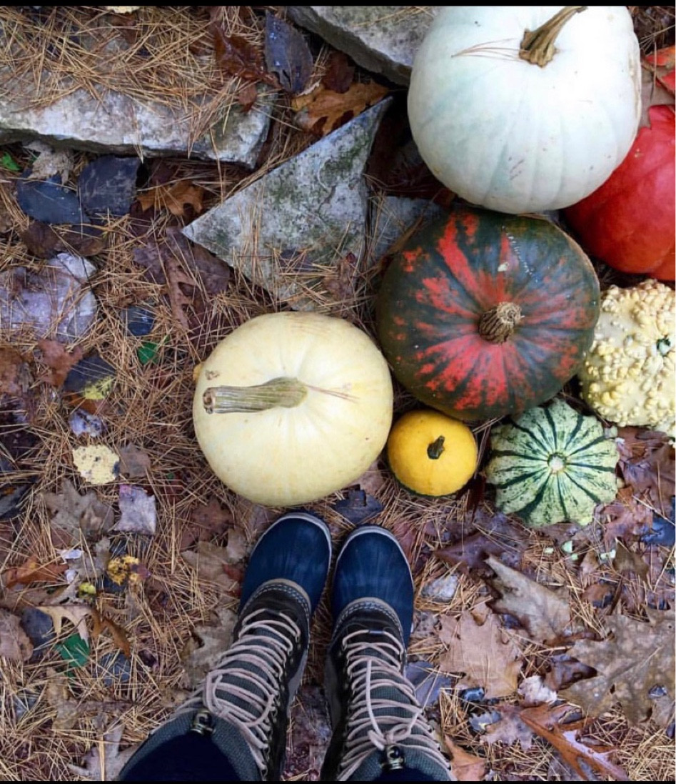 Fall Boots

#LTKFind #LTKSeasonal #LTKstyletip