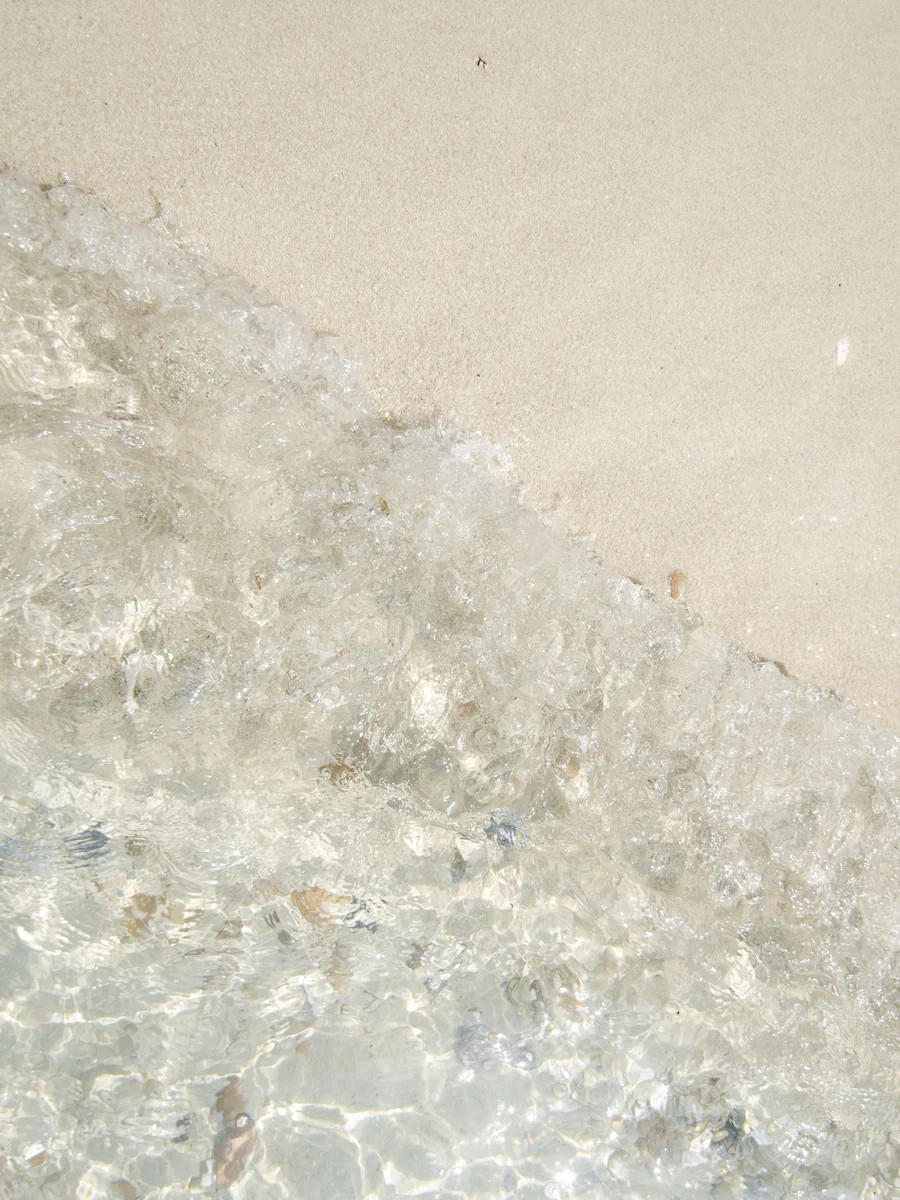 Tide Treasures | Collection Prints