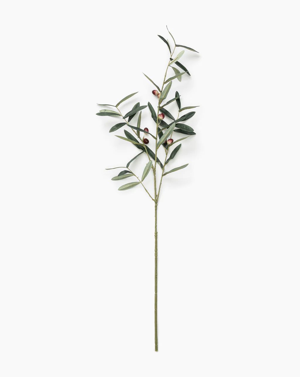 Faux Tuscan Stem | McGee & Co.