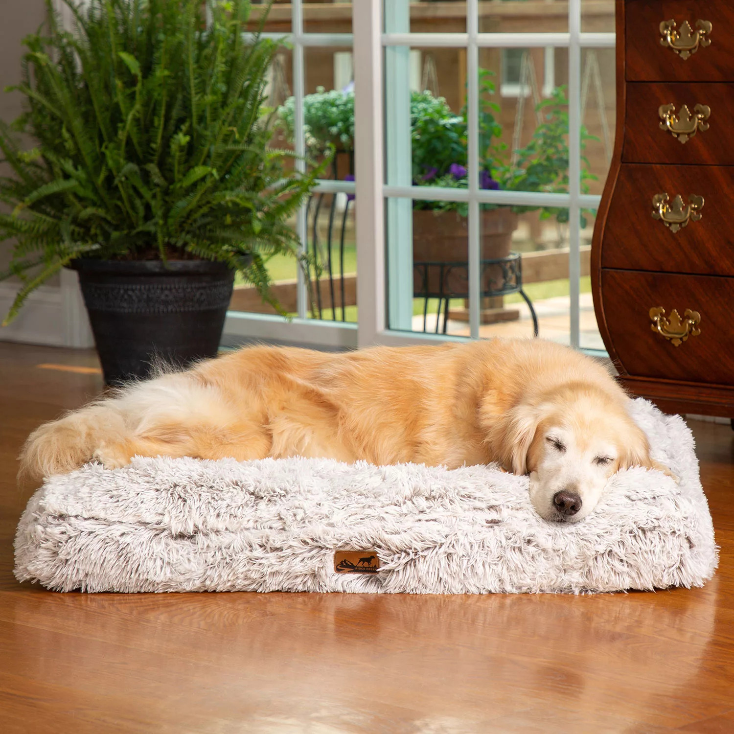 Ridge Creek Plush Lounger Pet Bed, 27" x 36" (Choose Color) | Sam's Club